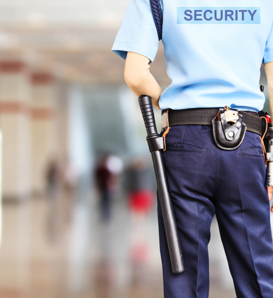 NSS Secure Solutions Private Limited 